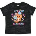 thumbnail image 3 of Inktastic Its My Birthday with Kitten Stars and Confetti Boys or Girls Toddler T-Shirt, 3 of 5