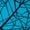 Printed Turquoise, variant on Nirlon Biker Shorts For Women - High Waisted Womens Workout Shorts With Pockets