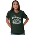 thumbnail image 3 of Michigan Is Great MI Lakes Pride Men's Graphic T Shirt Tees Brisco Brands 5X, 3 of 6