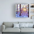 thumbnail image 2 of Mandy Budan 'Sunrise' Canvas Art, 2 of 4