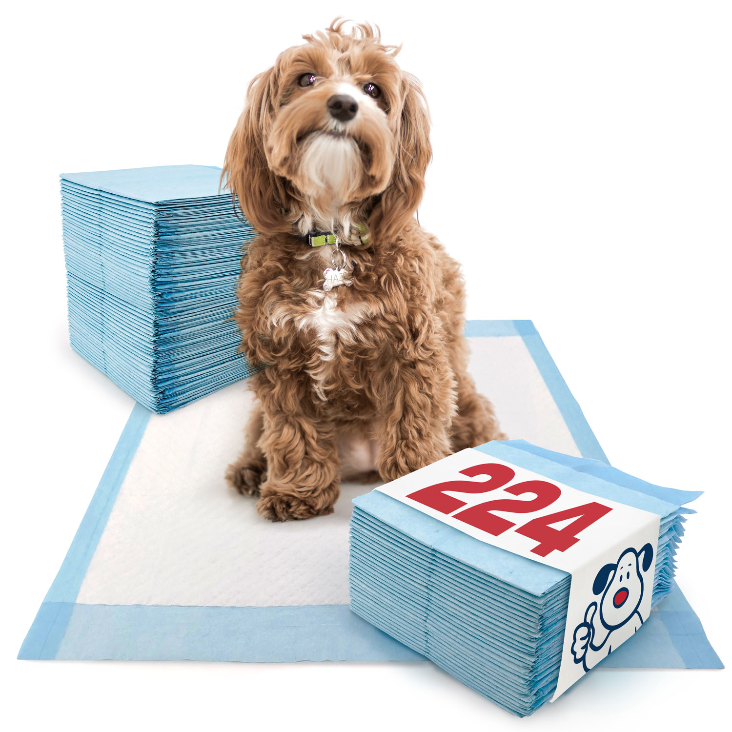 ValuePad Puppy Pads, Medium 23x24 Inch, Economy, 224 Count