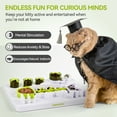 thumbnail image 6 of All For Paws Interactive Cat Puzzle Feeder Toy, Kitty Slow Puzzle Feeding Toy for Mental Stimulation &  IQ Training, Fish, 6 of 9