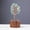 Green, variant on 1pcs Gemstone Crystal Tree of Life,Feng Shui Gift Bonsai Money Tree,Home Decor for Luck and Wealth 8.66"-9.05"，Rainbow Fluorite (7 tree stumps)