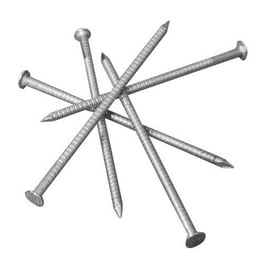 Simpson Strong-Tie 4D 1-1/2 in. Siding Coated Stainless Steel Nail Round Head 5 lb Simpson Strong-Tie 4D 1-1/2 in. Siding Coated Stainless Steel Nail Round Head 5 lb