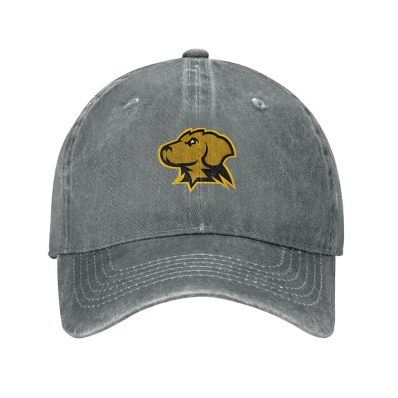 Umbc Retrievers Unisex Adjustable For Hat Baseball Cap Casquette