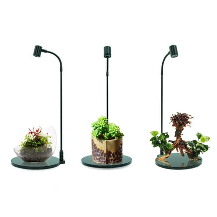 Mini Terrarium Aquarium Black Spotlight for Potted Plants, Betta Fishes, Bottle Jars, Displays, Indoor Plant, Succulents, Air Plants