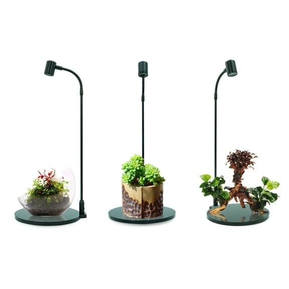 Mini Terrarium Aquarium Black Spotlight for Potted Plants, Betta Fishes, Bottle Jars, Displays, Indoor Plant, Succulents, Air Plants