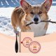 thumbnail image 3 of Yegbong Pet Tear Cleansing Cream es adecuada para perros y gatos, hidrata y limpia las secreciones alrededor de los ojos, reconforta y cuida los ojos.,1 piezas, 3 of 12