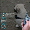 Paws & Pals Remote Dog Training Collar 330 Yard Radius LCD 100LV