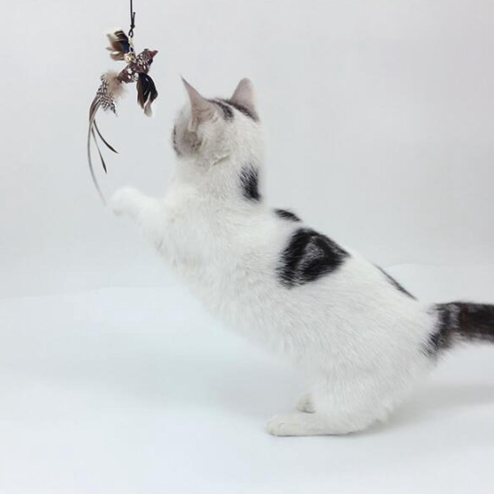 perfeclan 3xInteractive Cat Toys Teaser Stick Cat Feather Toy Long Tailed Warbler 3 Pcs