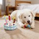 thumbnail image 5 of Este juguete de peluche con forma de pastel de cumpleaños que chirría para perros es perfecto como regalo de cumpleaños para tu perro., 5 of 6