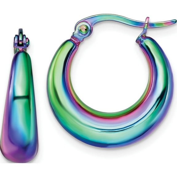 Stainless Steel Polished Rainbow Ip-Plated Hoop Earrings (21 X 20) Made In China sre1534