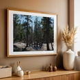 thumbnail image 5 of Water Everywhere You Turn - Mammoth Lakes California Photography Forest Nature Woodland Wilderness Scenic Landscape Botanical Unframed Wall Art Print 20 x 28 inches, 5 of 7
