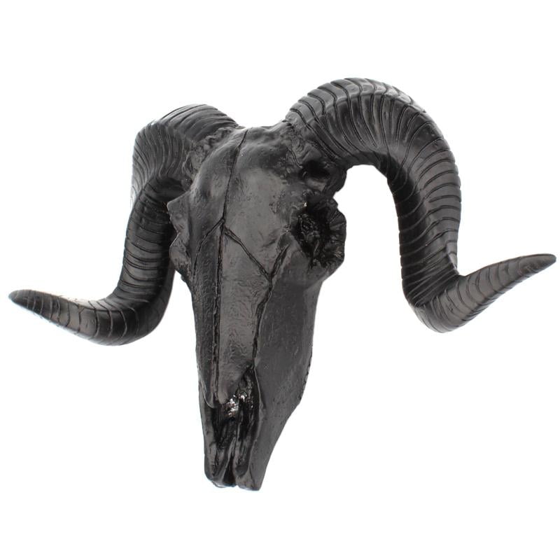 Ram Head Trophy Horns Wall Mounted Sheep Skull Resin Plaque 
