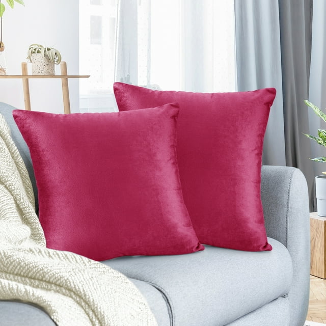 Lot de 2 Housses de Coussin en Velours Décoratives, Douces, Carrées, 20 Pouces x 20 Pouces