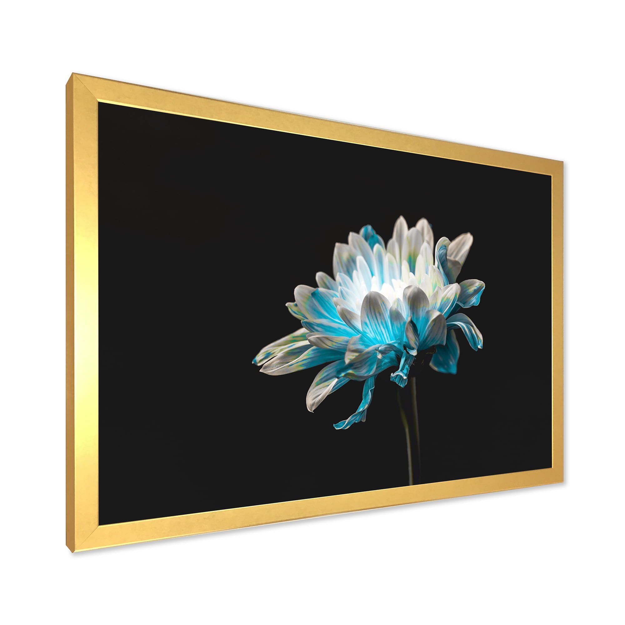 Designart 'Close Up Of White and Pure Blue Daisy Flower I' Traditional Framed Art Print