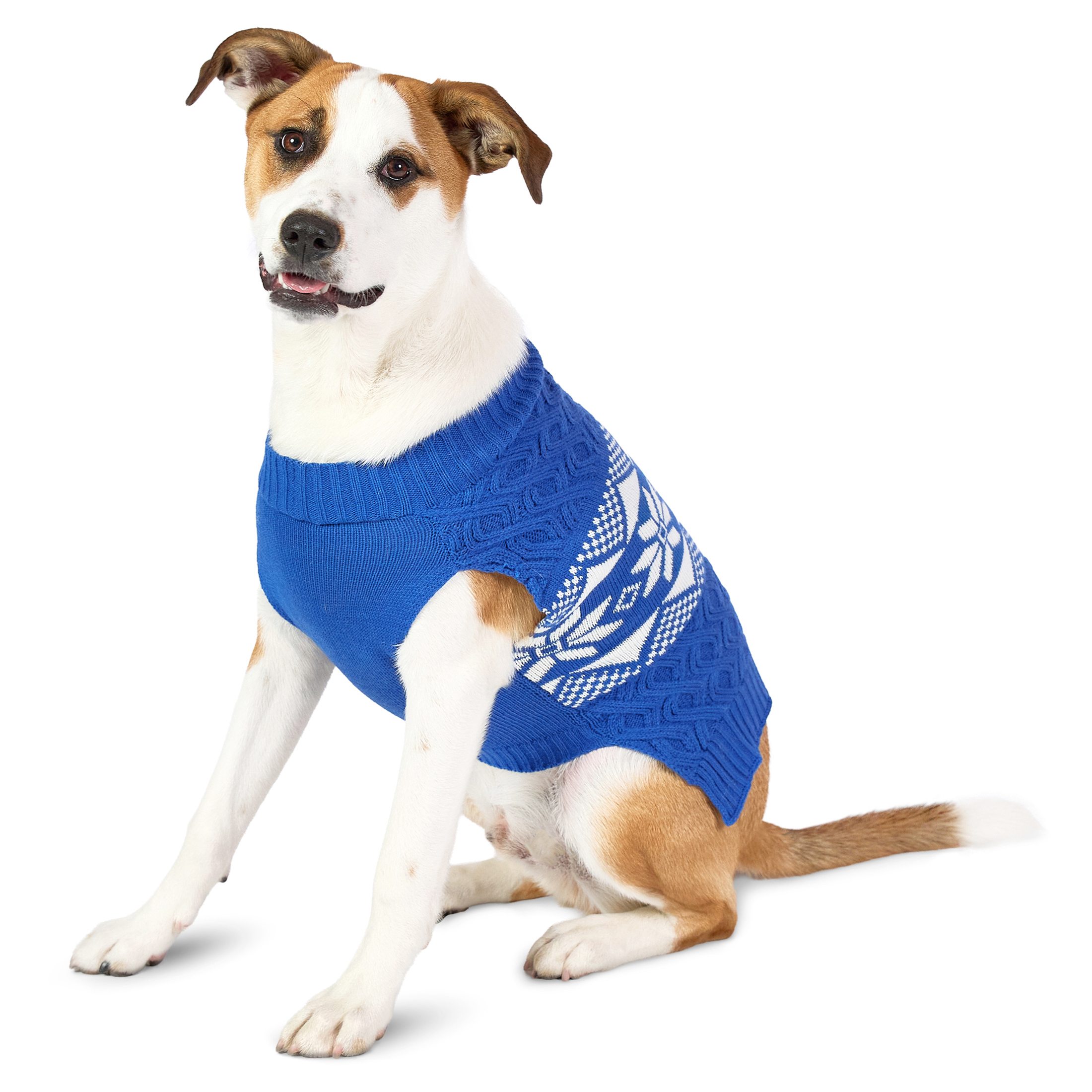 Vibrant Life Holiday Pet Sweater for Dogs, Snowflakes, Blue, Medium