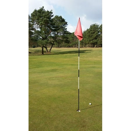 Canvas Print Flag Grass Fairway Course Golf Ball Green Hole Stretched Canvas 10 x