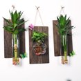 thumbnail image 2 of Tablero de madera + jarrón con forma de ratón para colgar en la pared, decoración de fondo, planta hidropónica, colgante de pared, jarrón pequeño de vidrio de eneldo verde, 2 of 7