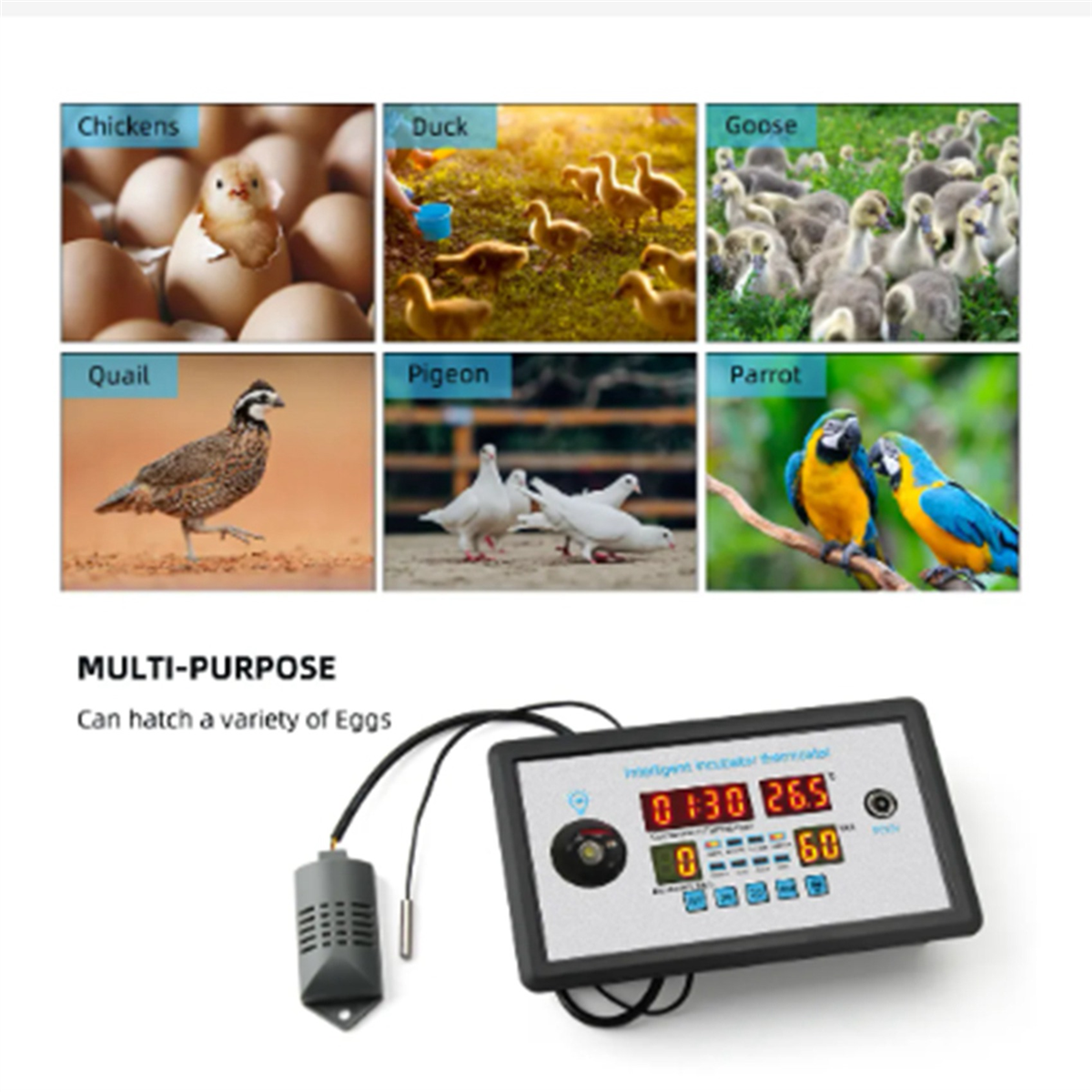 2X Smart Thermostat Digital ZFX-W9002 Thermostat Temperature Humidity Control Incubator 360 Automatic Egg Turning 12V