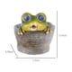 thumbnail image 3 of Maceta de Resina para Suculentas, Maceta de Escritorio, Bonsái con Animales Simulados y Luz Solar, Ideal para Decoración Del Hogar, Jardín, Oficina o Mesa., 3 of 7