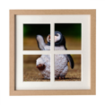 thumbnail image 1 of Criatura Antarctic Cute Penguin Science Nature Pantalla de escritorio de pared de marco 4 aperturas, 1 of 4