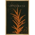 thumbnail image 4 of IDEA4WALL Framed Canvas Print Wall Art Orange & Black Rosemary Silhouette with Paint Specks Floral Plants Illustrations Minimalism Wall Decor for Living Room, Bedroom, Office - 24"x36" Natural, 4 of 5