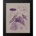 thumbnail image 2 of Merian, Maria S. 15x18 Black Modern Framed Museum Art Print Titled - Nature Study in Plum and Taupe III, 2 of 5