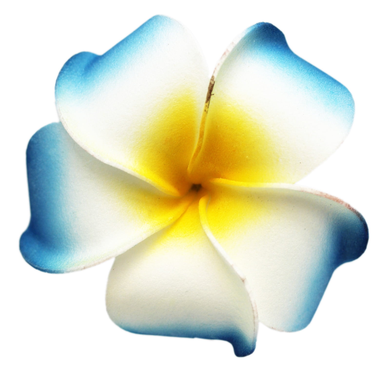 Tropical Flowers Frangipani Hawaiian Polynesian Flowers Light Blue Plumeria Earrings Pretty Plumeria Pastel Blue Floral Jewelry