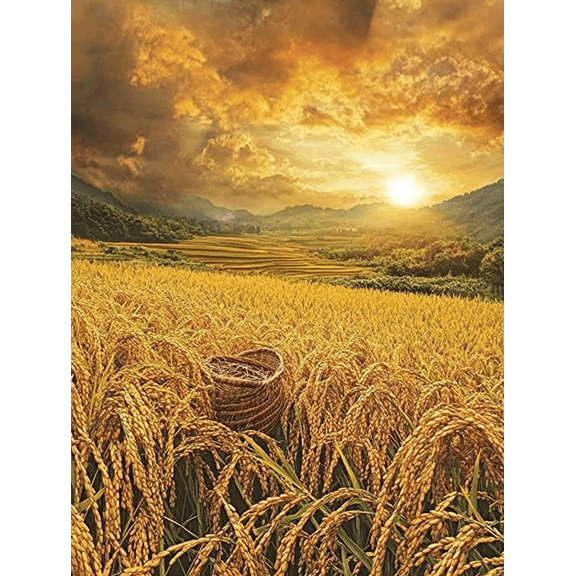 Golden Rice Field Sunset Canvas Print/Wall Art, Suitable for Living Room, Bedroom, Dining Room, Office, and Farmhouse Decor.