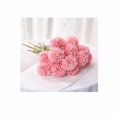 thumbnail image 1 of Crisantemo de bola pequeña artificial Crisantemo de una sola rama La exhibición en el hogar es flores secas simples y limpias Melaleuca Crisantemo Pequeño fresco 12 piezas (rosa claro) ILoveMilan  JM, 1 of 5