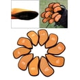 thumbnail image 3 of Juego de Fundas de Hierro para Golf Cola 10 Piezas Cubiertas de la cabeza del club de golf naranja, 3 of 8