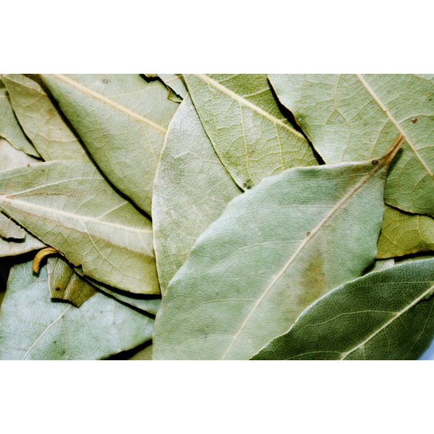 Dried Pepper Bay Leaf Green Laurel Cooking20 Inch By 30 Inch Laminated