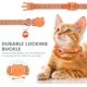 thumbnail image 4 of BRILLAR Collar para Gato Reflectante Naranja con Cierre de Seguridad - Soporte Airtag Incluido, Impermeable, Ideal para Gatitos, 4 of 5
