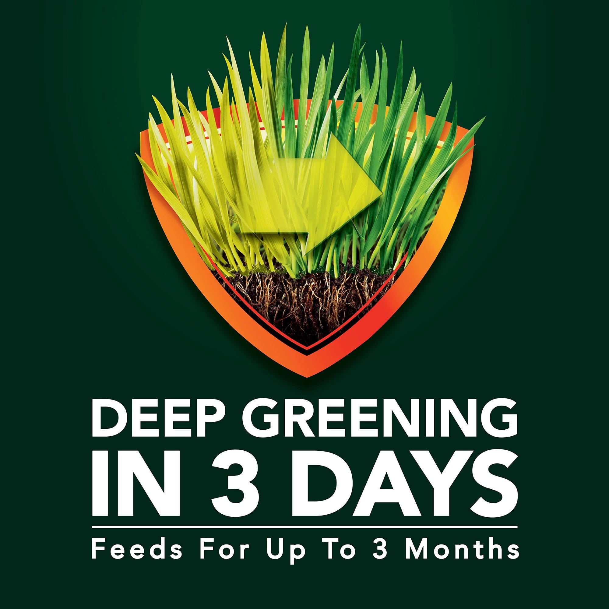 Scotts Green Max Lawn FoodFL, 5,000 sq. ft., 15.15 lbs.