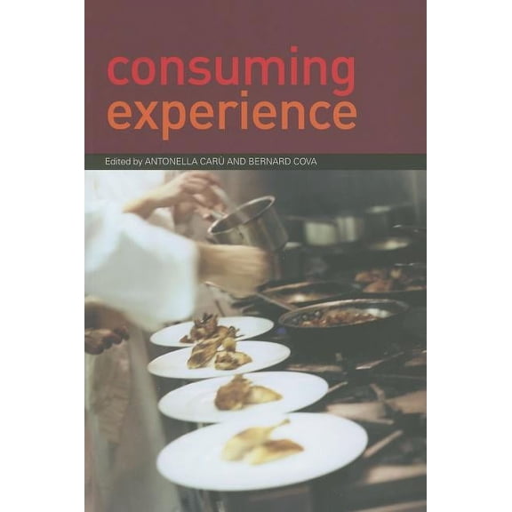 Consuming Experience, (Paperback)