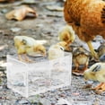 thumbnail image 1 of BESTYASH De Alimentación Acrílico Para Gallinas Rutin Con Anti Salpicaduras, 1 of 8