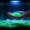 thumbnail image 2 of Naxoaeo Glow in The Dark Aquarium Sand, 3-5mm Fluorescent Gravel for Fish Tank Landscaping, Luminous Decorative Stones for Vases, Centerpieces, DIY Crafts, 25g, 1000 Pcs, 2 of 7