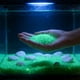 thumbnail image 1 of Arena que brilla en la oscuridad para paisajismo de acuarios: grava fluorescente para la decoración de bordes de jarrones, piedras luminosas para el sustrato de peceras, decoración del hogar., 1 of 6