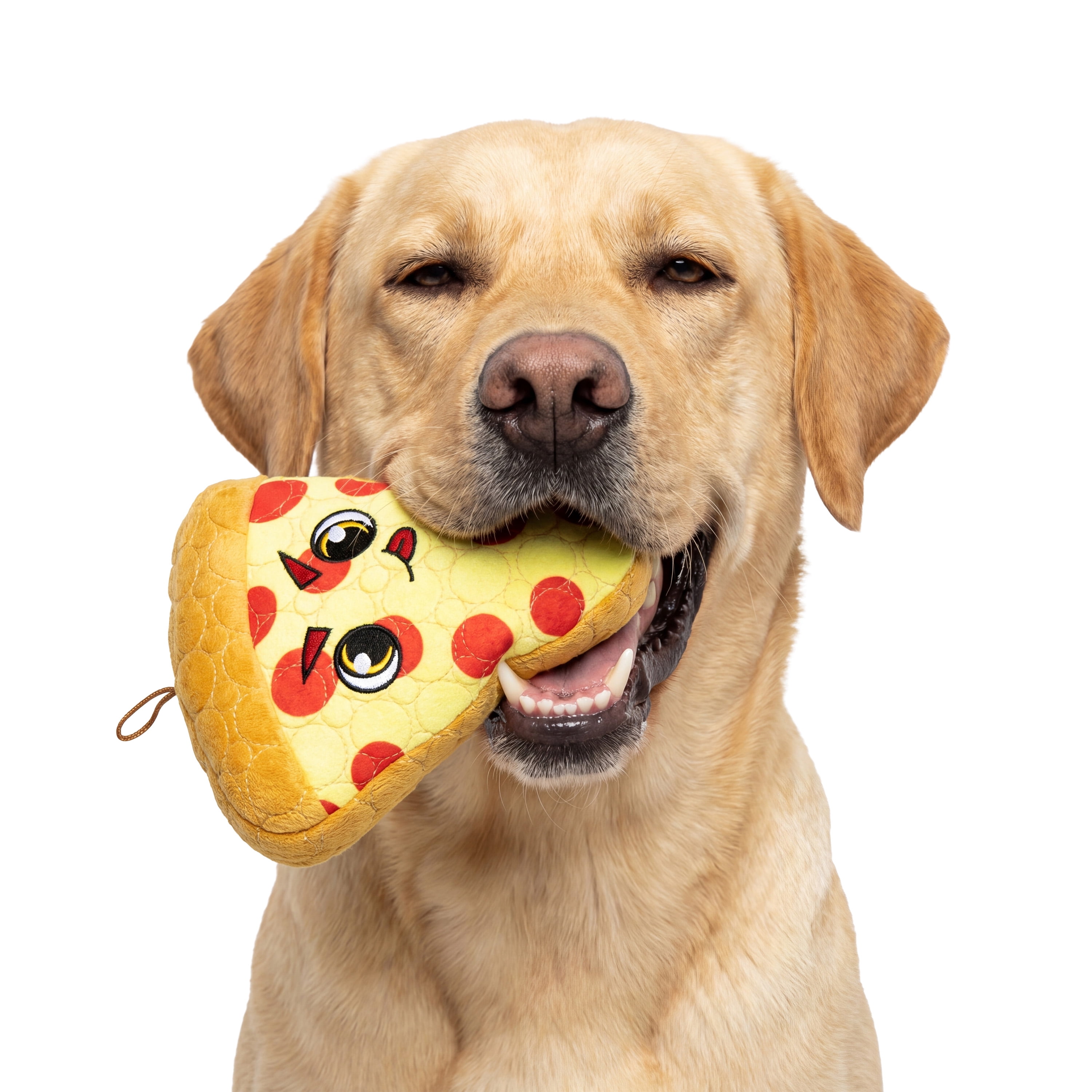 Bite Force Durable Pizza Shaped Plush Dog Toy, Multi Layered and Reinforced Dog Toys for Aggressive Chewers