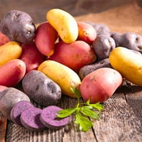 Set 15 Assorted Sweet Potato Slips Cuttings, 3-5 Inch, Well Rooted for Outdoor Planting