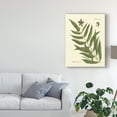 thumbnail image 3 of Trademark Fine Art 'Antique Fern II' Canvas Art by Vision Studio, 3 of 4