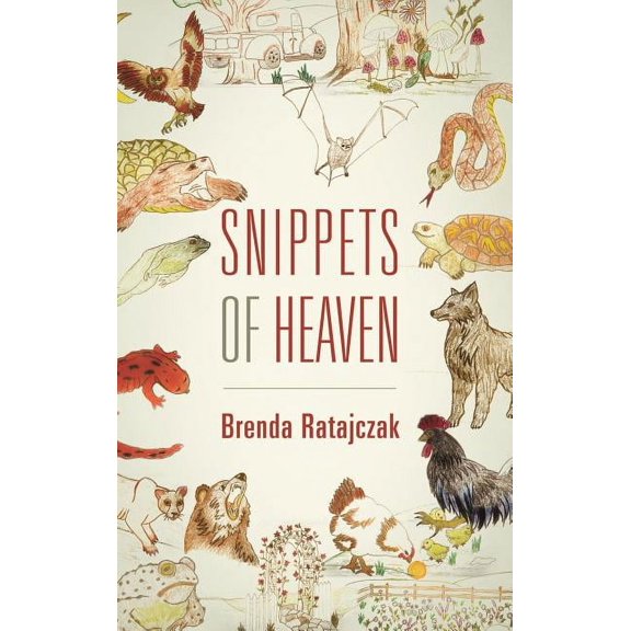 Snippets of Heaven (Hardcover)