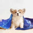 thumbnail image 4 of Rocae Dreamy Colorful Starry Sky for Pet Blanket Dog Blanket Cat Blanket Soft Sleep for Small Medium Pet-Large, 4 of 8