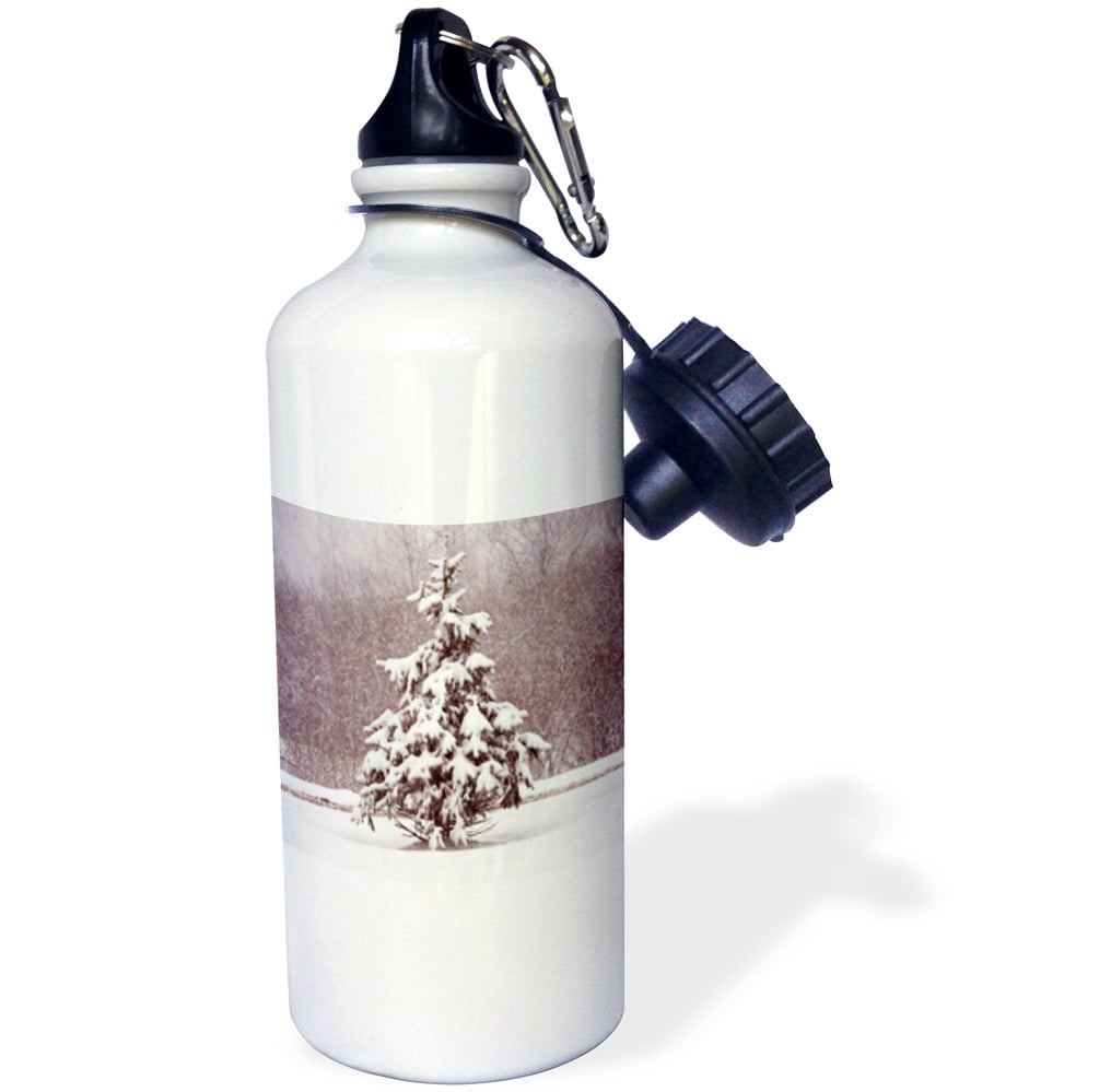 3dRose Small Winter Evergreen , Sports Water Bottle, 21oz by Supplier Generic