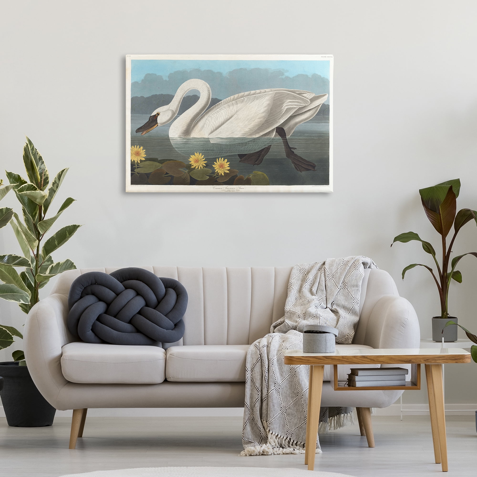 Stupell Industries Classic Common American Swan Animals Painting Wrapped Canvas Art Print Wall Art, 36 x 24