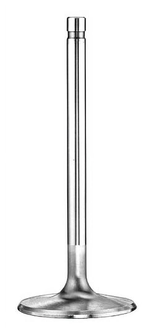 Manley 11880-1 MPP11880-1 VLV SEV DUTY BBC INT