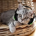thumbnail image 4 of Olyre Mini Pet Headphones for Small Dogs Cats Stuffed Animals, Pets Stuffed Animals Fabric Dolls Dress up Headphone Models with Adjustable Headband for Party Favors Costumes Cosplay Photo Props Green, 4 of 8