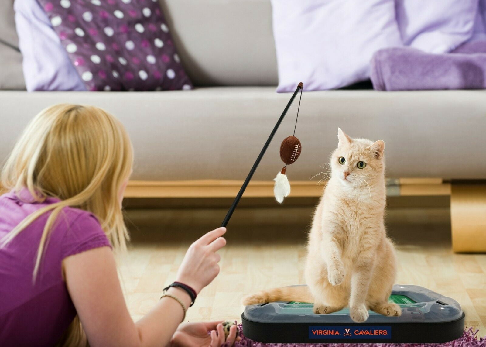NCAA Virginia Cavaliers CAT Scratcher Toy with Catnip Plush & Feather Cat Toy 5-in-1 Kitty Toy