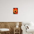 thumbnail image 2 of Stupell Industries Bold Red Poppy Flower Blossom Petals Photograph Black Framed Art Print Wall Art, Design by Heidi Bannon, 2 of 5